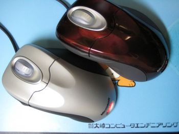 Mouse001.JPG